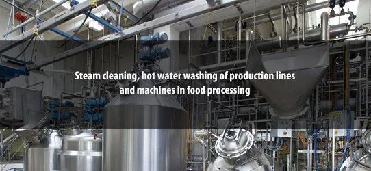 Nettoyage à la vapeur, lavage à l'eau chaude des lignes de production et des machines dans l'industrie agroalimentaire